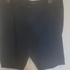 Quiksilver Men's Dark Shorts